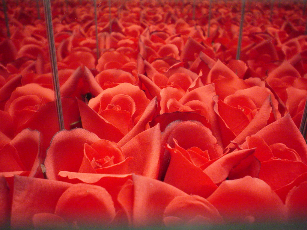 Exposição “Caixa de Pandora”